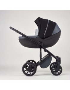 Bugaboo cameleon set...
