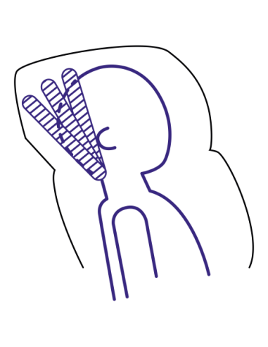 GB by Cybex - seggiolino auto Elian Fix 15/36kg isofix