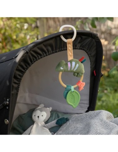 Sebra - Carley the Chameleon - Activity Ring for Hanging