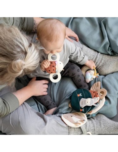 Sebra - Luca the Ladybird - Activity Rattle