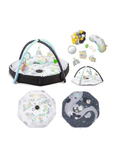 Momi - Palestrina Day&Night