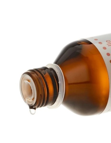 Koala - Olio di Mandorle Dolci