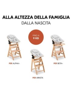 Hauck - Sdraietta Bouncer Ecco - Spedizione Gratuita 2