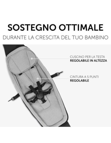 Hauck - Riduttore Baby Lounger