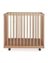 Quax - Box In Legno Mori - Spedizione Gratuita
