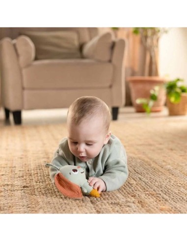 Tiny Love - Smart Bunny Garden Of Adventures