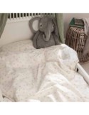 Graco navicella Near2Me Elite Black - Amodio mySweetie Graco navicella Near2Me Elite Black - Amodio mySweetie