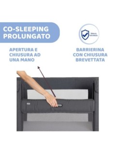 Baby Home Sdraietta Taste Purple - Amodio mySweetie