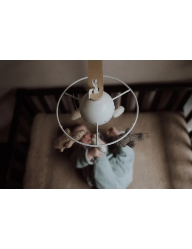 Flow Amsterdam - Giostrina Liva