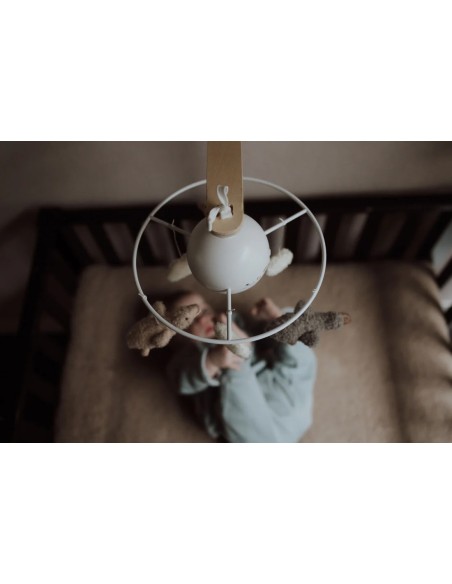 Flow Amsterdam - Giostrina Liva