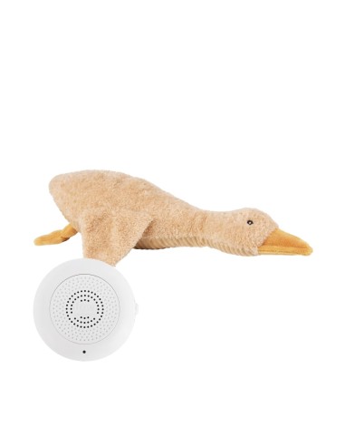 Flow Amsterdam - Comforter Oca Liva Ricaricabile Con Battito Cardiaco