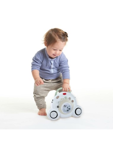 Tiny Love - Giostrina Soothe N Groove con Decorazioni Black e White