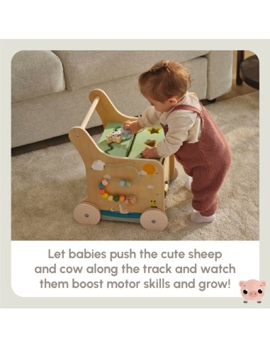 Tiny Love - Girello in Legno