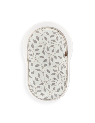 Quax - Cuscino con Inserto Mamee