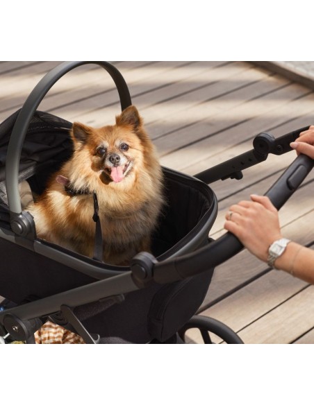 Anex - Navicella Animale di Compagnia