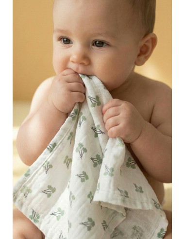 Koala Babycare - Soft Touch set da 6 Mussole 30x30 Blossom Green