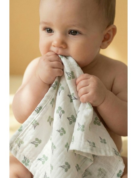 Koala Babycare - Soft Touch set da 6 Mussole 30x30 Blossom Green