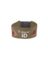 Littlelife - Braccialetto Safety ID - Identificativo di Sicurezza